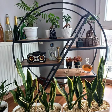 דירה Best & Lux Apartments Beylikduzu